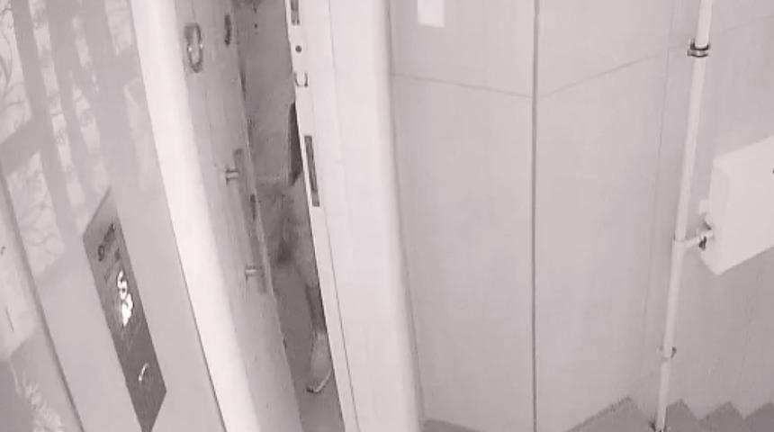 Adana'da kapkaç ve hırsızlık şüphelisi güvenlik kamerasından tespit edilerek yakalandı