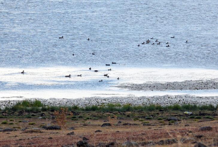 Sarıkamış Asboğa Gölü'nde turizm 12 aya yayılacak G4