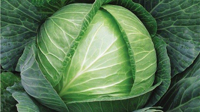 Beyaz lahana zayıflamaya yardım ediyor