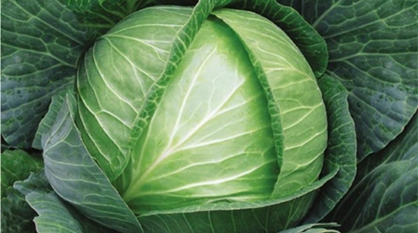 Beyaz lahana zayıflamaya yardım ediyor