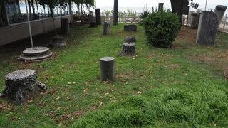 Adramytteion Antik Kenti ve Burhaniye'deki temel kazılarında bulunan eserler sergilenecek