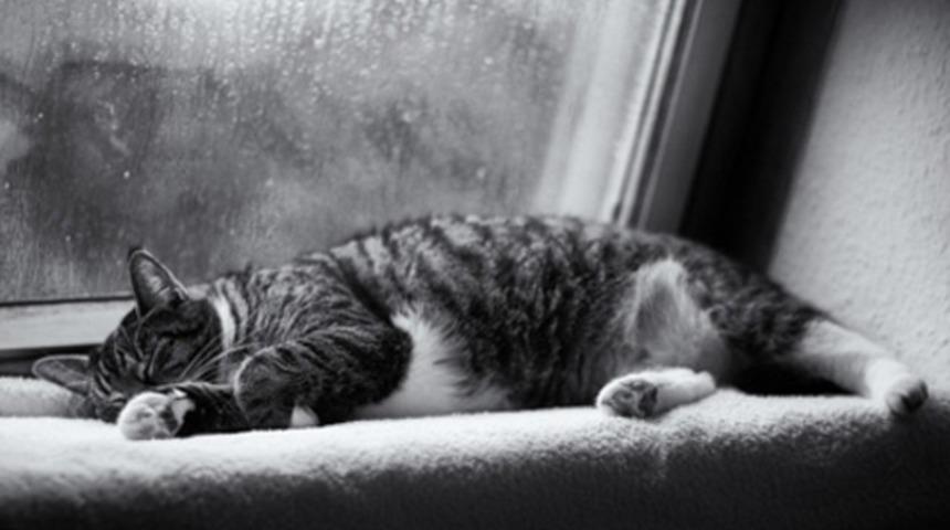 Yağmur sesi neden uykumuzu getirir?