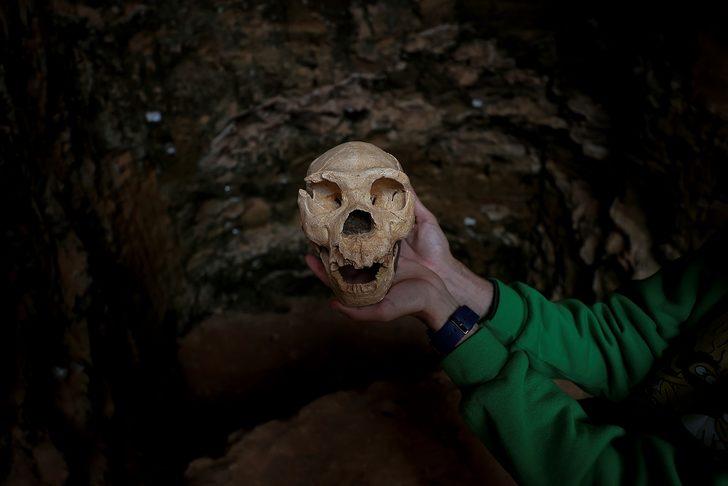 Tüm doğruları yıktı geçti! 1.4 milyon yıl yaşında insan fosili bulundu G1