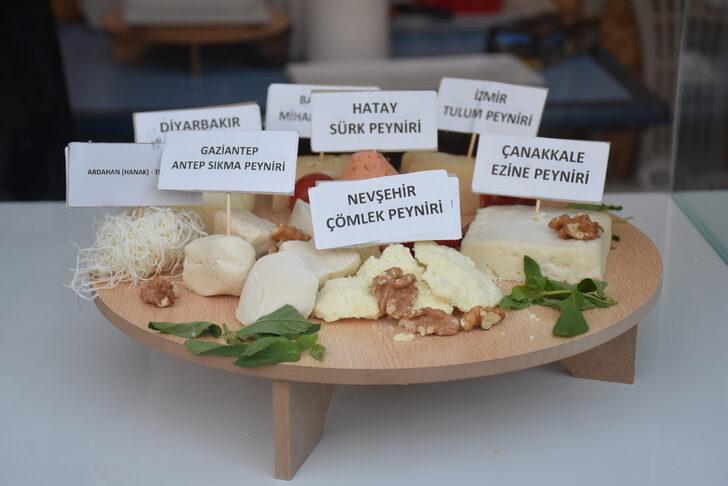Türkiye'nin yöresel peynirleri Kars'taki festivalde tanıtıldı G2