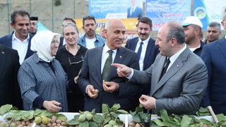 Bakanlar Varank ve Kirişci, Kahramanmaraş'ta ceviz ve kültür festivaline katıldı