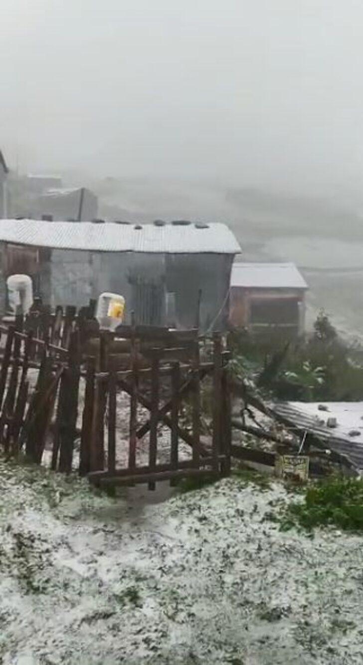 Trabzon, Rize ve Artvin'de kar yağışı! Bembeyaz manzaraya uyandılar G5