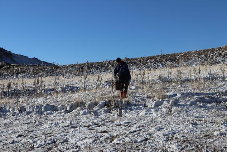 Doğu Karadeniz'in yüksek kesimlerinde kar etkili oldu G3