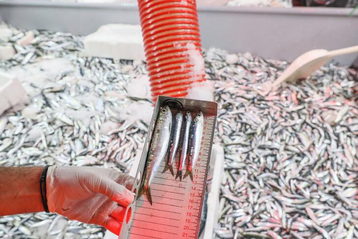 İzmir açıklarında avlanan balıkçı tekneleri denetlendi G1