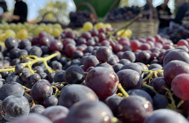 Konya'da Meram Bağları Projesi'nin açılışı yapıldı G5
