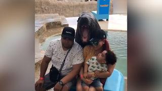 Haberi yokmuş gibi yapmadı! Deniz aslanı, aile fotoğrafına girip insanmış gibi poz verdi: Annenin hareketi olay oldu