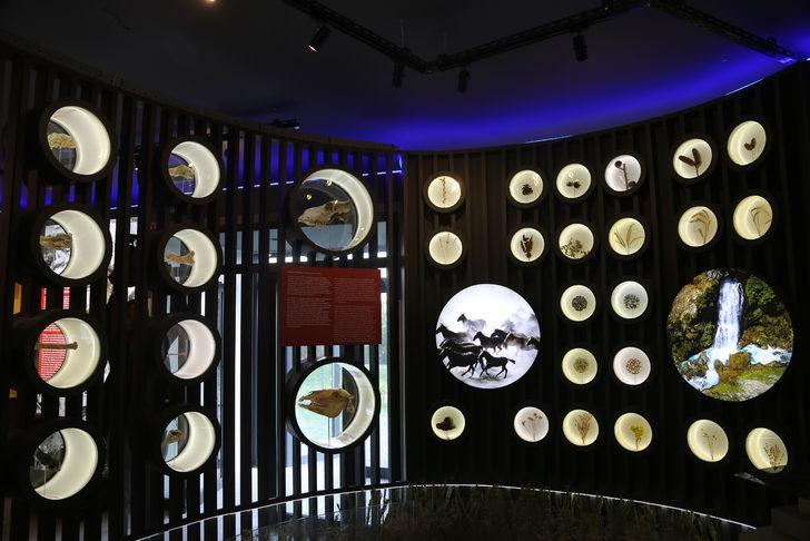 Kayseri'de Kültepe Ziyaretçi Merkezi açılıyor G5