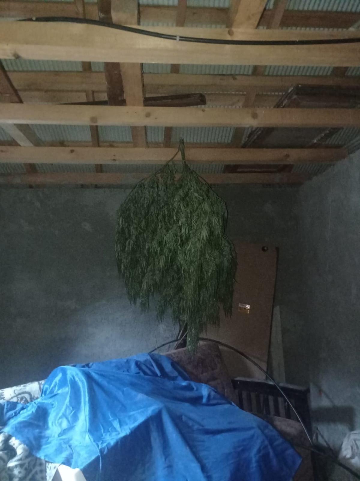 Trabzon'da uyuşturucu operasyonunda g&ouml;zaltına alınan zanlı tutuklandı