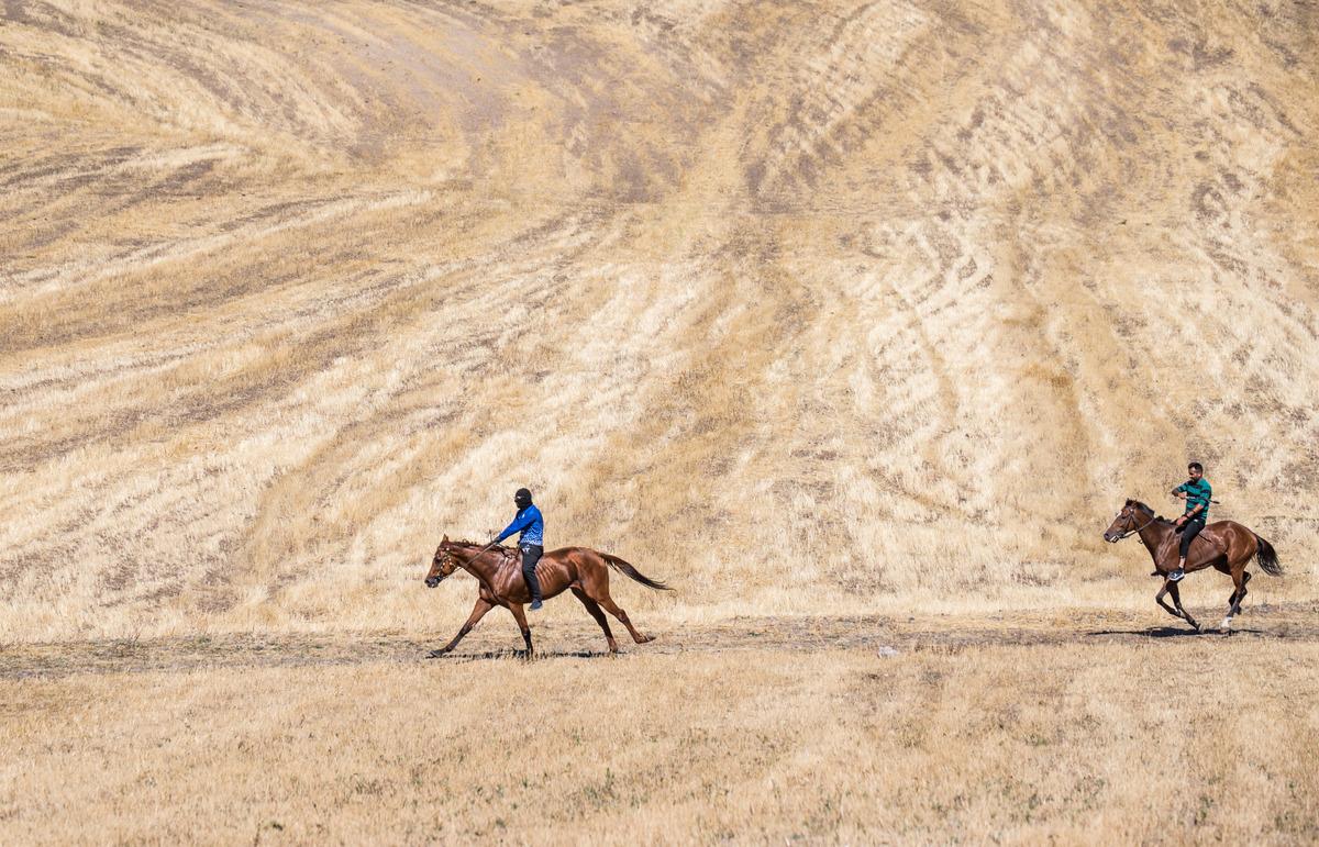 Kars'ta "geleneksel at yarışı" d&uuml;zenlendi