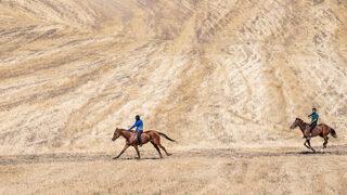 Kars'ta geleneksel at yarışı düzenlendi