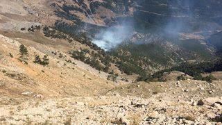 Adana'da çıkan orman yangınına müdahale ediliyor