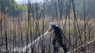 Antalya'da otluk alanda çıkan yangın kontrol altına alındı