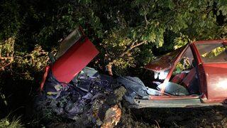 Bolu'da ağaca çarparak ikiye ayrılan otomobildeki 2 çocuk yaralandı