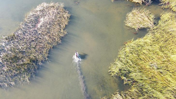 Konya'da jokeyini üstünden atan at saatler sonra göldeki sazlıklarda bulundu G3