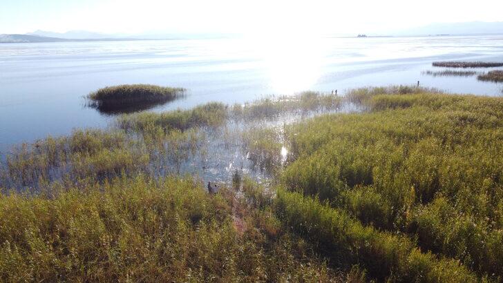Konya'da jokeyini üstünden atan at saatler sonra göldeki sazlıklarda bulundu G5
