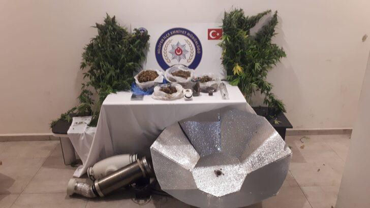 Bursa'da evinde kenevir yetiştiren zanlı tutuklandı G3