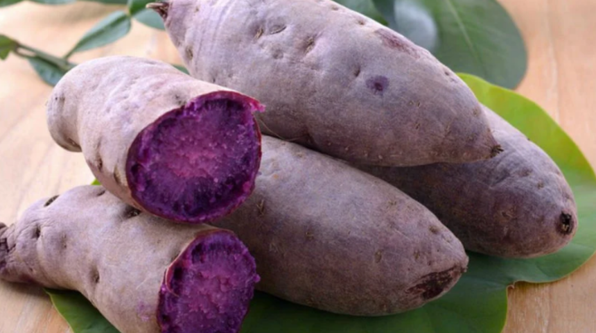 Her zaman yediklerimizden 10 kat daha faydalı! Öyle hastalıkları iyileştiriyor ki... 