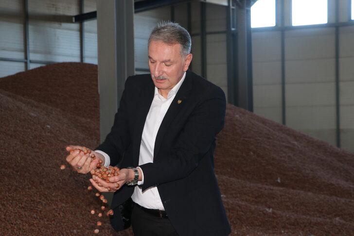 TMO Genel Müdürü Ahmet Güldal, Trabzon'da fındık alım merkezini ziyaret etti: G3