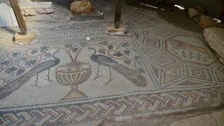 Hadrianaupolis'te üzerinde çeşitli figürlerin bulunduğu yeni mozaikler ortaya çıkarıldı