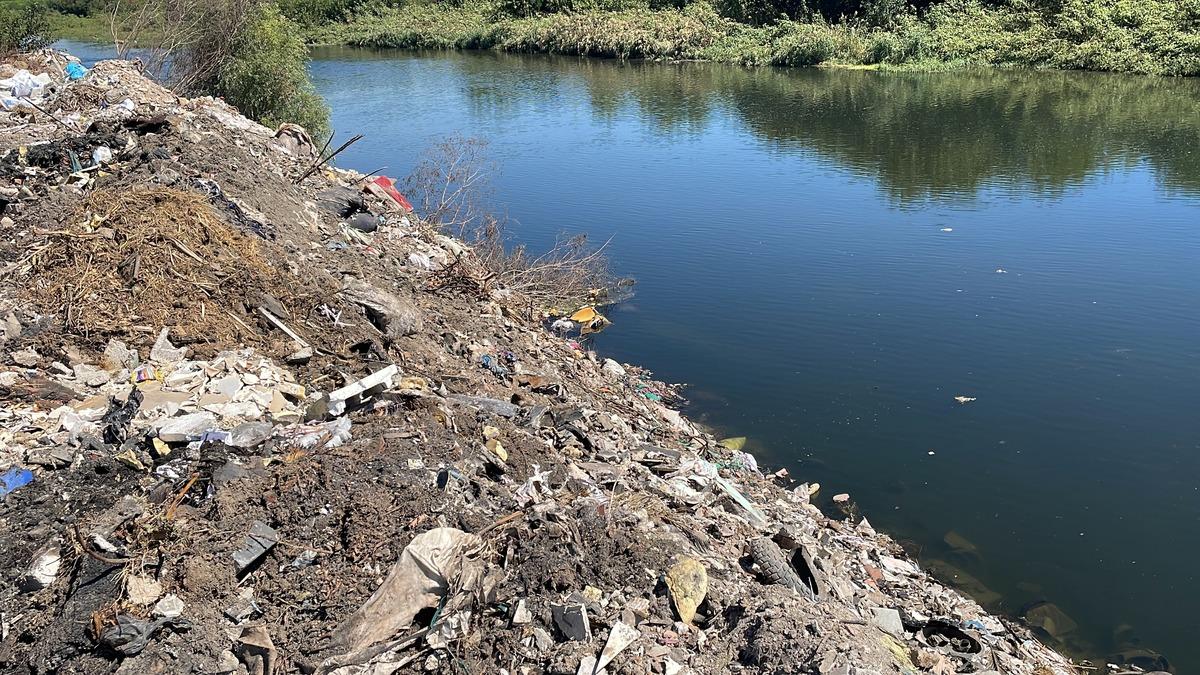 Seyhan Nehri kıyısında hafriyat ve atık kirliliği