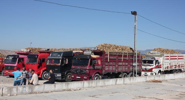 Amasya Şeker Fabrikası'nda 69. pancar alım kampanyası başladı G3