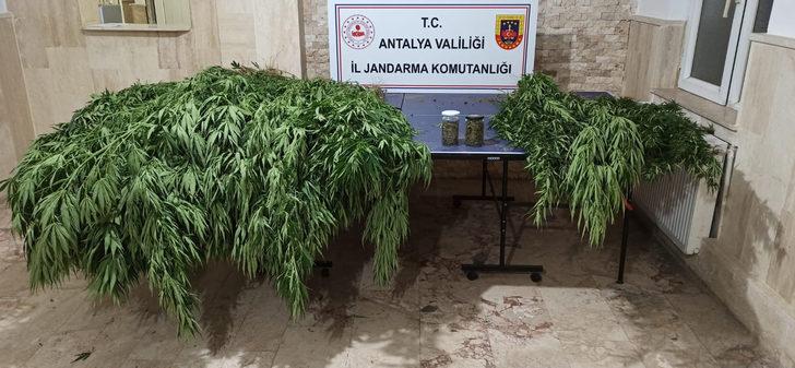 Antalya'da uyuşturucu ve kaçakçılık operasyonunda 5 kişi yakalandı G2