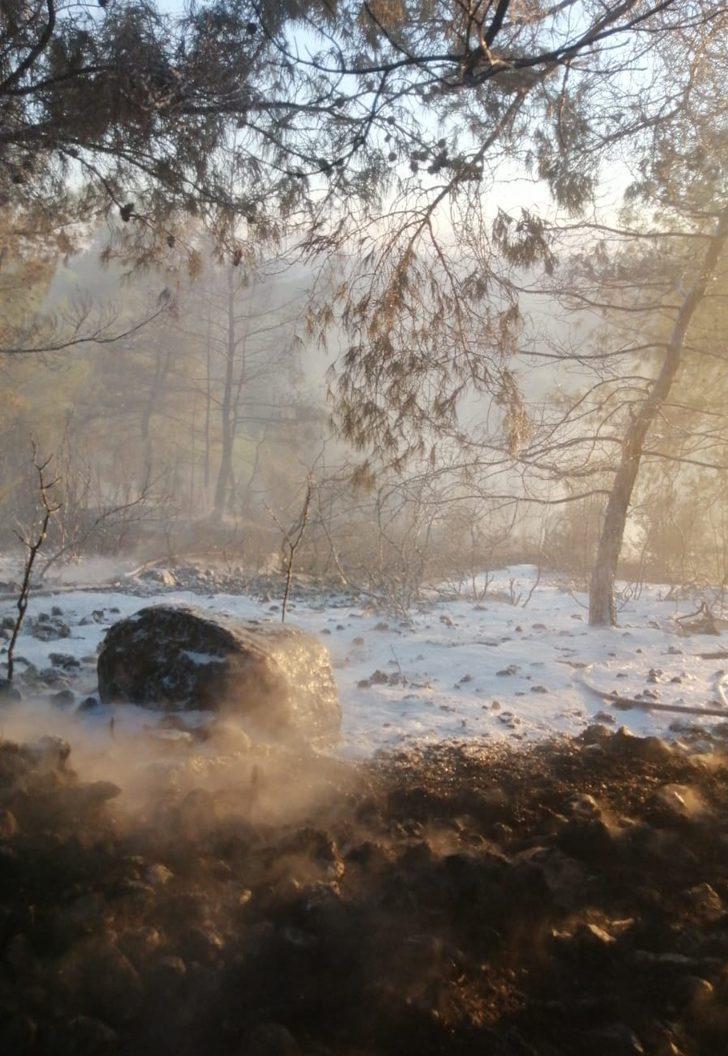 Antalya’da çıkan orman yangınında 5 dekar alan yandı G2