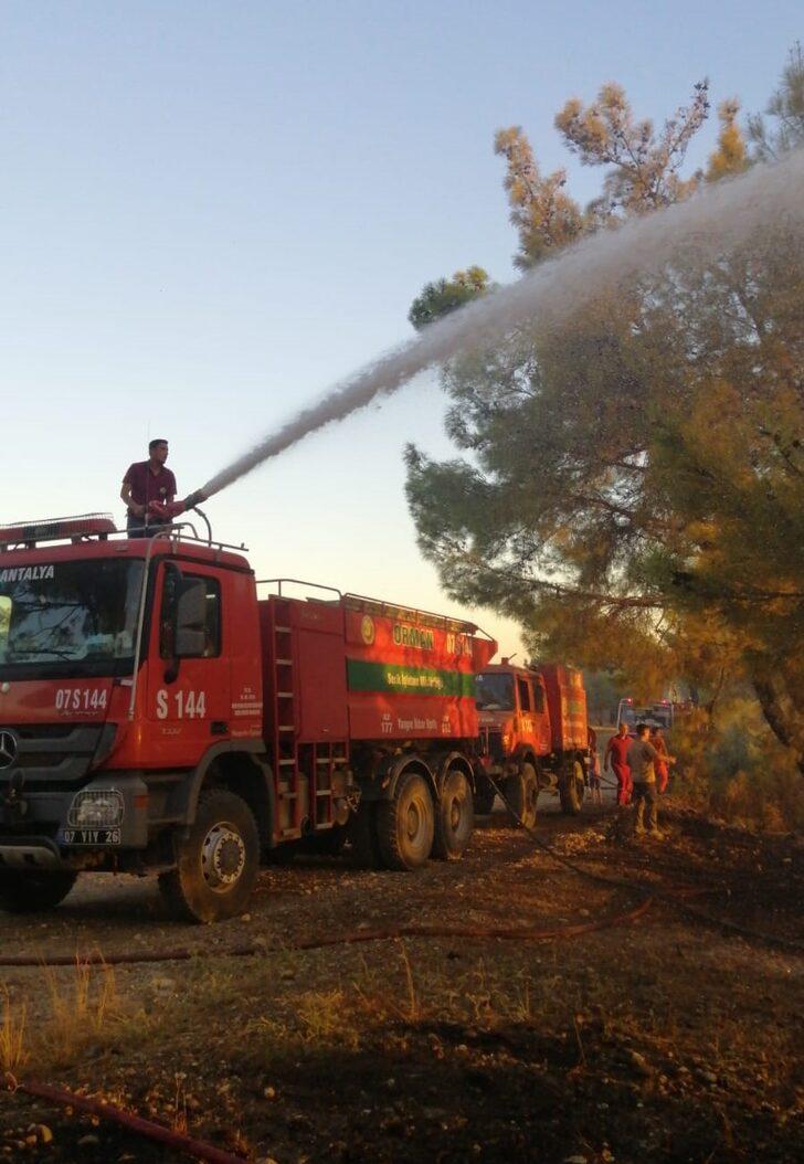 Antalya’da çıkan orman yangınında 5 dekar alan yandı G3