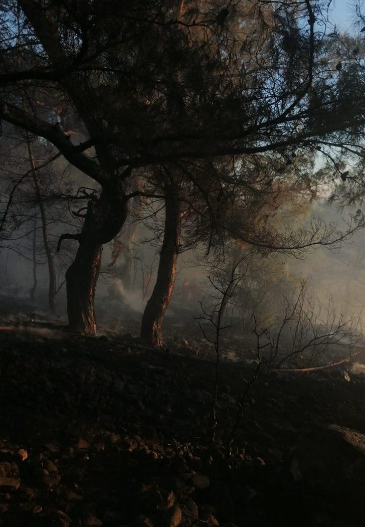 Antalya’da çıkan orman yangınında 5 dekar alan yandı G4