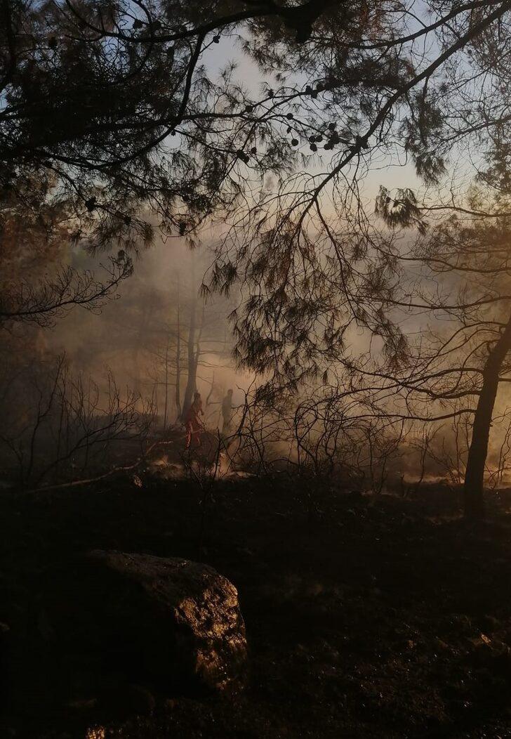 Antalya’da çıkan orman yangınında 5 dekar alan yandı G5