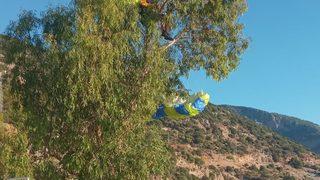 Fethiye'de yamaç paraşütü ağaca dolanan kişi kurtarıldı