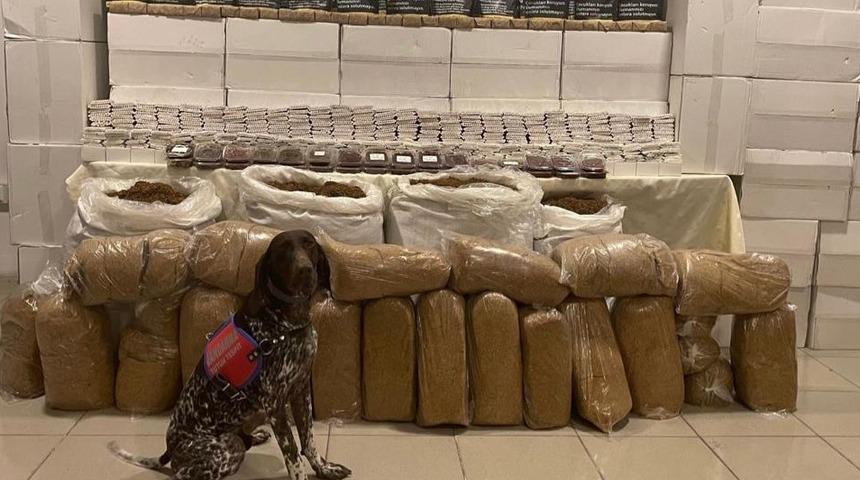 Kocaeli'de 2 milyon 30 bin makaron ele geçirildi