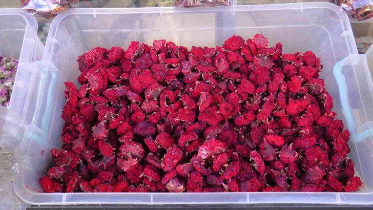 Öksürüğü keser, hastalıkları bitirir... Çay gibi için anında faydasını görün G3