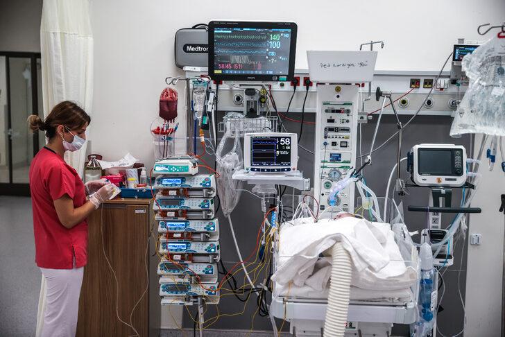 Hasta minik kalpler için 7/24 diken üstündeler G3