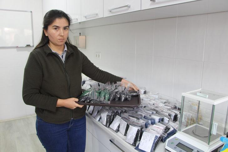 Bandırma'dan 28 ülkeye soğan tohumu ihraç ediyorlar G3