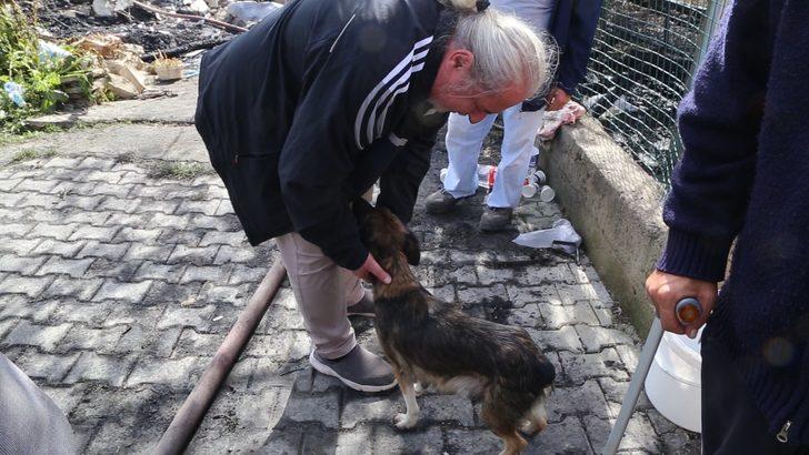 Yangında 5 yavrusunu kaybeden köpek yanan evin enkazından ayrılmıyor G4