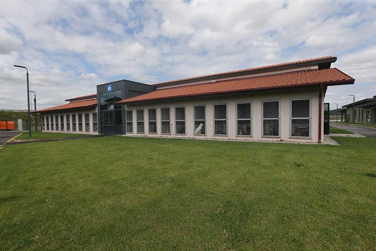 Sakarya'da "can dostlar" Ge&ccedil;ici Bakımevi ve Rehabilitasyon Merkezinde emin ellerde