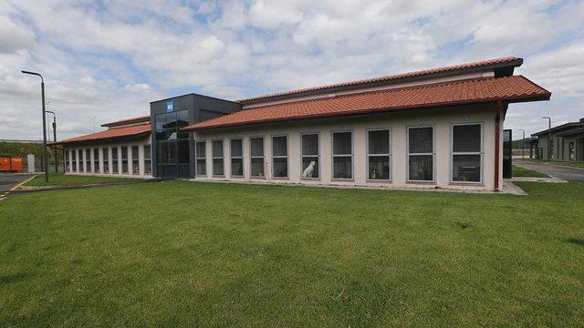 Sakarya'da can dostlar Geçici Bakımevi ve Rehabilitasyon Merkezinde emin ellerde