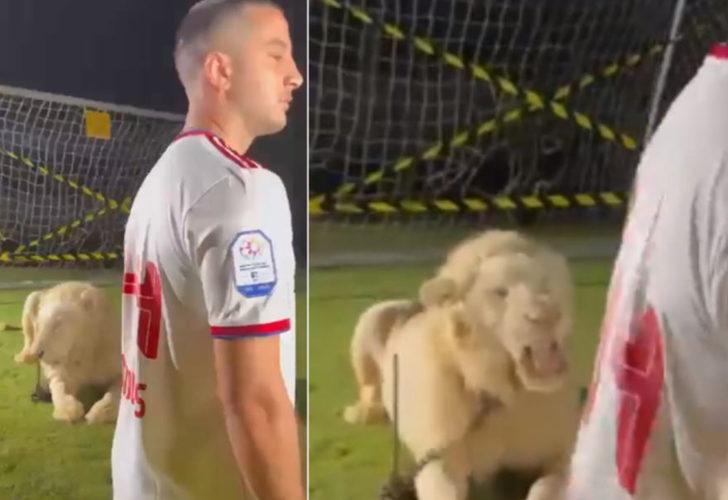 Tarihte eşi benzeri yok! Kostas Manolas'ın transfer videosunda canlı aslan oynatıldı