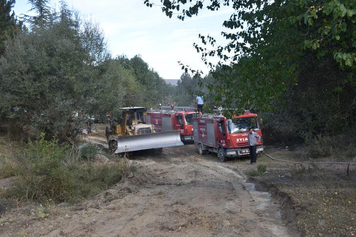 Afyonkarahisar'da çıkan orman yangınında 3 dönüm alan yandı G2