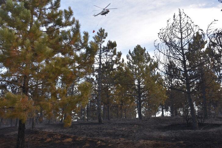 Afyonkarahisar'da çıkan orman yangınında 3 dönüm alan yandı G3