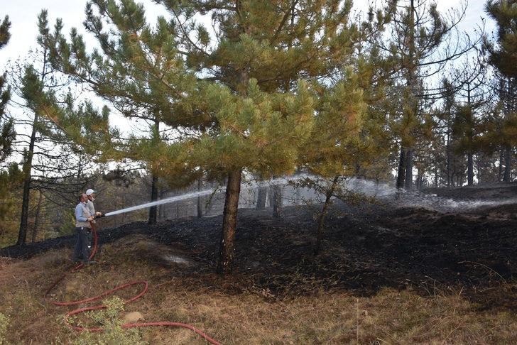 Afyonkarahisar'da çıkan orman yangınında 3 dönüm alan yandı G4