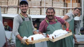 Batı Karadenizli balıkçılar limana bol palamutla döndü