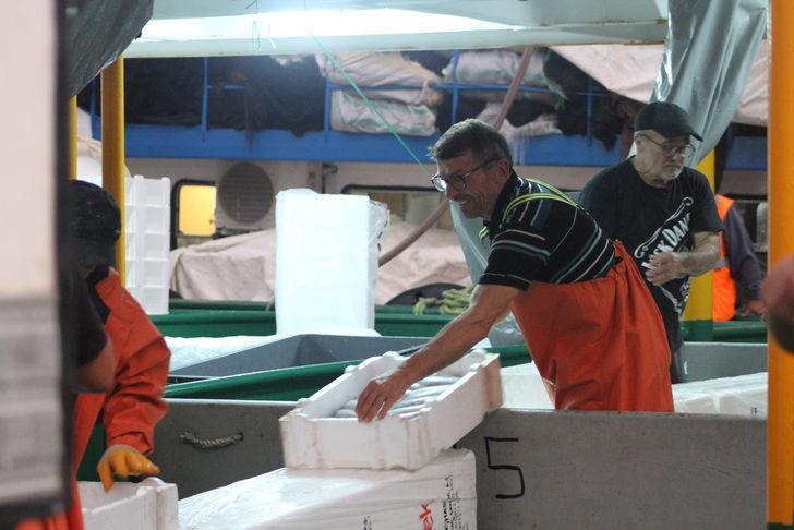 Batı Karadenizli balıkçılar limana bol palamutla döndü G3