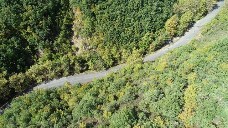 Tekirdağ doğal güzellikleriyle doğaseverleri bekliyor G2