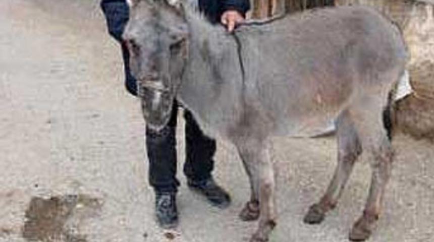 Babadan şaka gibi vasiyet